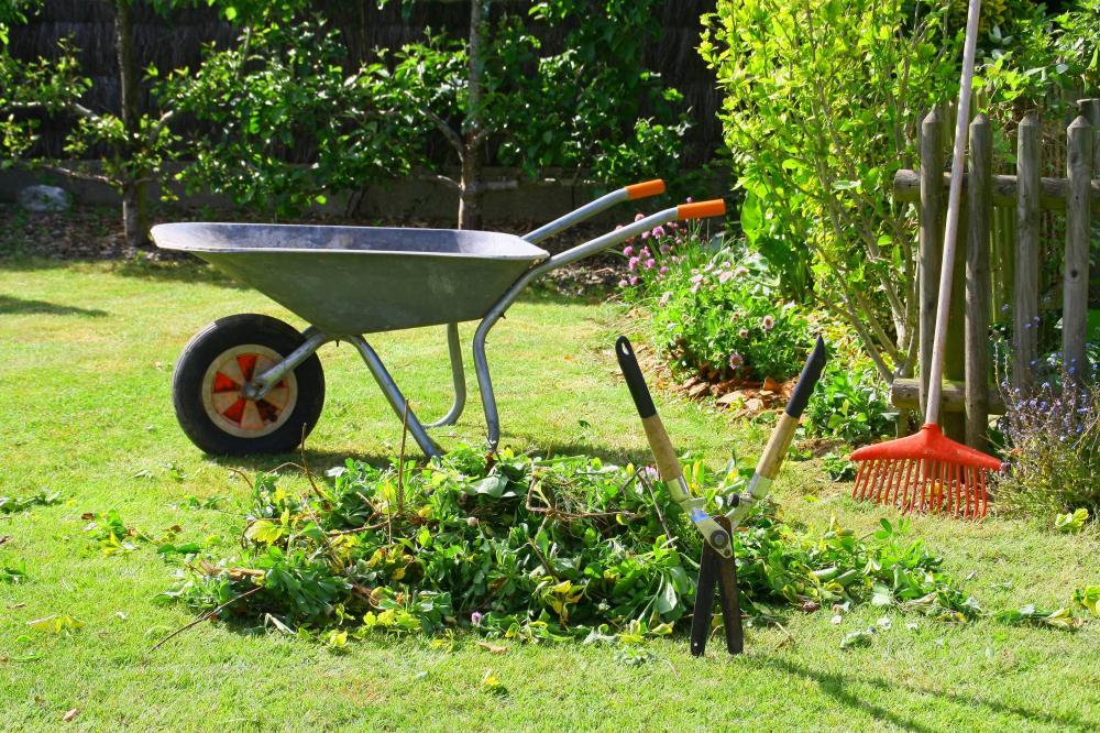 entretien jardin